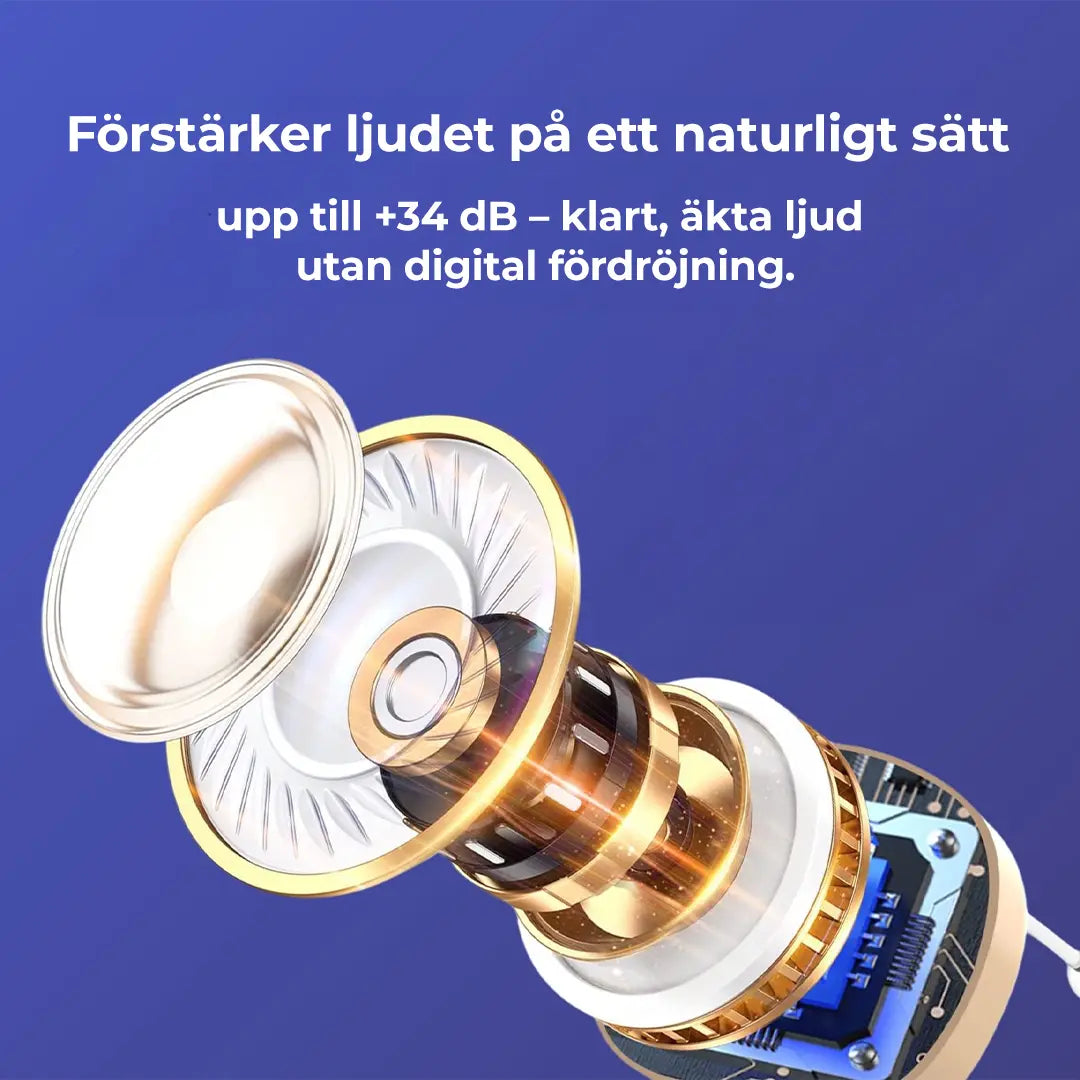 Hörselförstärkare Hearizon
