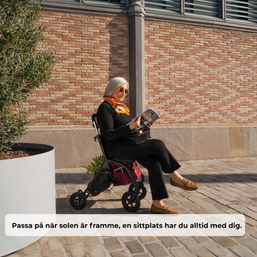 Sverige citywalker